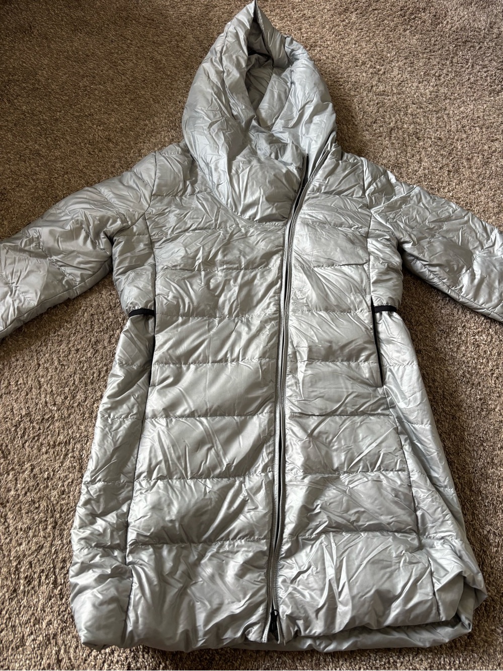 Nike Silver Heavyweight Puffer Coat with Hood - Women